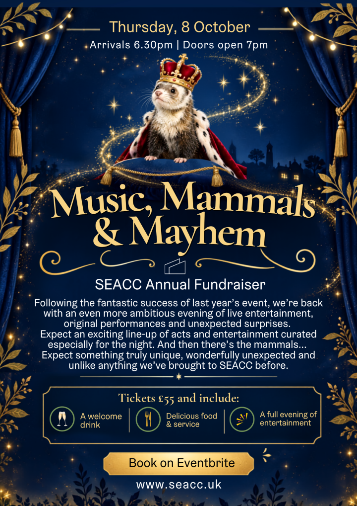Music, Mammals & Mayhem - Annual Charity Fundraising Event